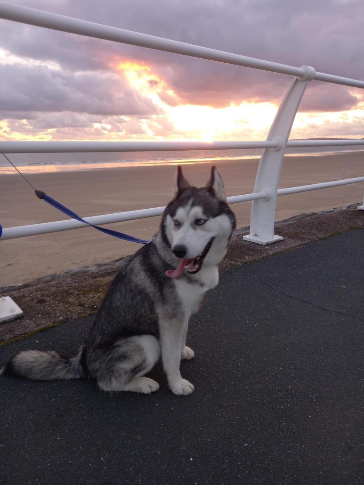Driftmark Beachfront Location Aberavon Beach Sea Views Large Driveway Parking Private Site Fibre Optic Wi Fi Port Talbot Esterno foto